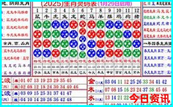 新澳2025历史开奖记录